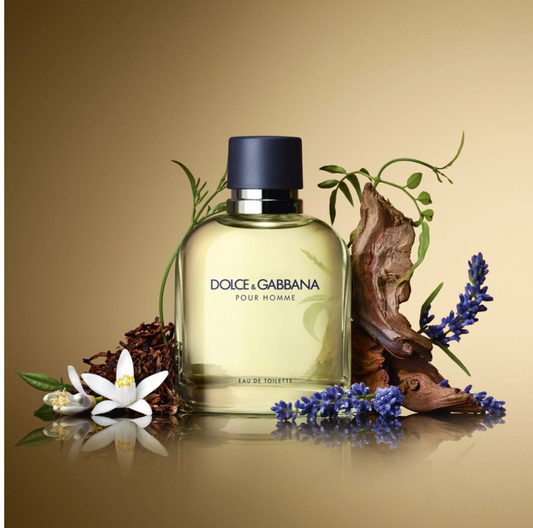 D&G POUR HOMME EDT SP 6.7oz