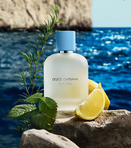 D&G LIGHT BLUE (M) EDT SP 6.7oz (Tester)