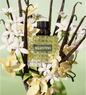 VALENTINO DONNA BORN IN ROMA GREEN STRAVAGANZA EDP SP 3.4oz